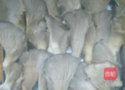 烤孜然平菇的做法图解3