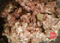 青葱鲜肉小馄饨的做法图解6