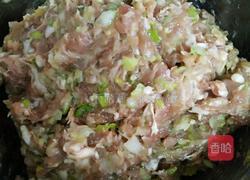 青葱鲜肉小馄饨的做法图解7