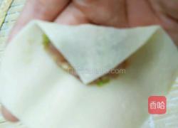 青葱鲜肉小馄饨的做法图解11