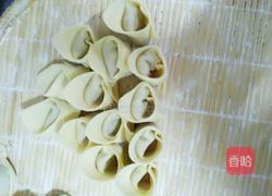 青葱鲜肉小馄饨的做法图解15