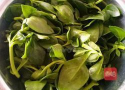 凉拌穿心莲的做法图解1