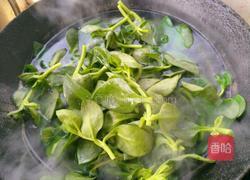 凉拌穿心莲的做法图解3