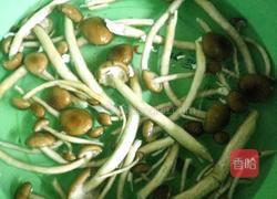 鲜茶树菇炒肉的做法图解1