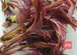 香椿拌豆腐的做法图解2