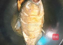 红烧武昌鱼的做法图解5