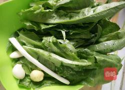 清炒莴苣叶的做法图解2
