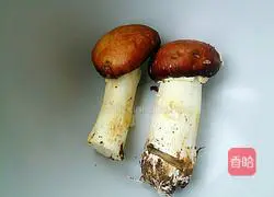 Butter-fried matsutake mushroom#New Year’s Eve dinner recipe illustration 1