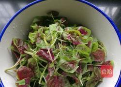 蒜末苋菜的做法图解2