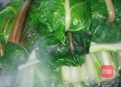 君达菜包的做法图解8