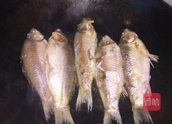 麻辣小鲫鱼炖豆腐的做法图解3