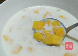 蜜豆芒果西米露的做法图解4