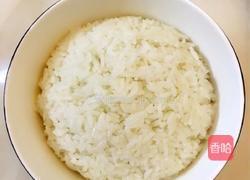 猫猫工作室（五彩菠萝饭）的做法图解2