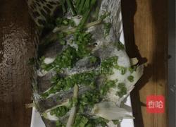 清蒸桂鱼的做法图解4