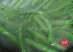 猪肉粒炖地芸豆的做法图解9