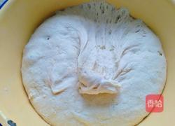 烤芝麻烧饼的做法图解1