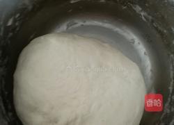 茴香包子的做法图解1