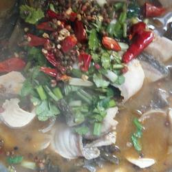 酸菜鱼的做法[图]