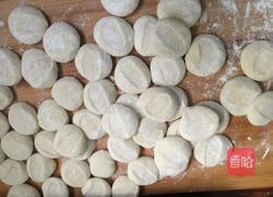 荠菜饺子的做法图解8