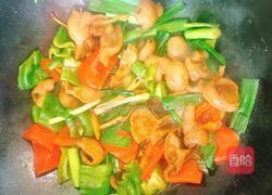 双椒爆炒肥肠的做法图解8