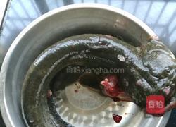 红烧鲶鱼的做法图解1