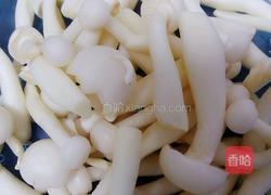 蚝油三菌菇的做法图解1