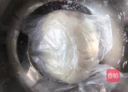 韭菜鸡蛋虾皮饺子的做法图解2