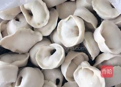 韭菜鸡蛋虾皮饺子的做法图解8