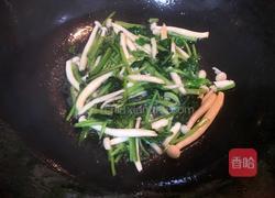 白玉菇炒菠菜的做法图解5