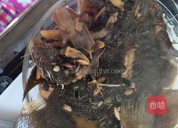 酱烧多宝鱼的做法图解5