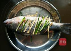 清蒸鲈鱼的做法图解3