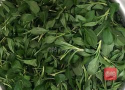 凉拌马兰头的做法图解2