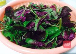 蒜蓉炒红苋菜的做法图解1