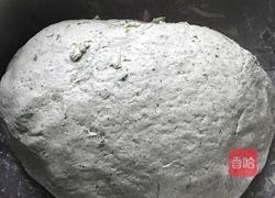 清明点心的做法图解5