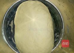 野菜饺子的做法图解4