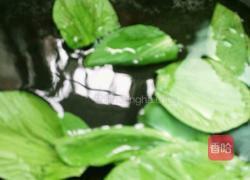 青菜鸡蛋饼的做法图解4