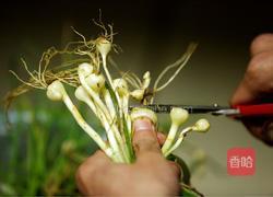 酸甜野葱的做法图解5