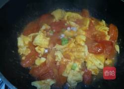 番茄炒蛋的做法图解12