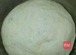 沙拉酱肉松•面包的做法图解6