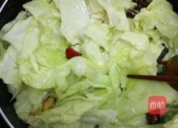 手撕包菜的做法图解5