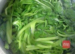 菠菜烩细粉的做法图解4