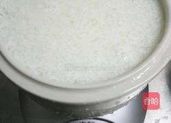 雪燕牛奶的做法图解5