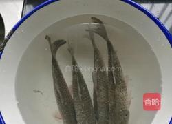 咸菜烧鲫鱼的做法图解1