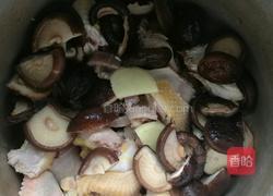 香菇汤鸡的做法图解5