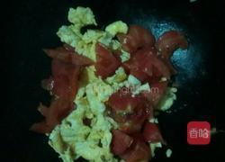 清炒番茄蛋的做法图解5