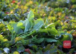 野菜花鱼的做法图解1