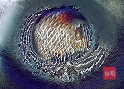 烫面葱花饼的做法图解21