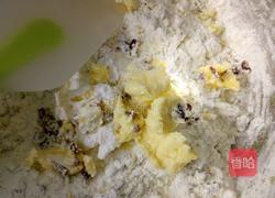 蔓越莓干的做法图解4