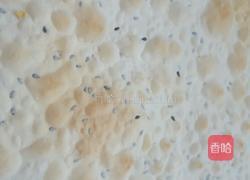 芝麻焦酥饼鸡内金饼的做法图解5