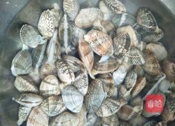 麻辣花蛤的做法图解1